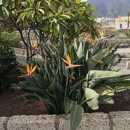 山林小屋 Casa El Cabuko